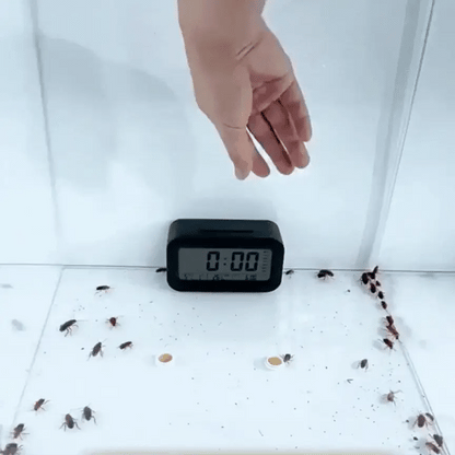 🔥Cockroach Repellent Gel | Buy 1 Get 1🔥(PACK O 24 PIECE)